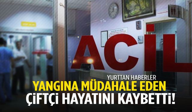 Arazisindeki anız yangınını söndürmeye çalışırken hayatını kaybetti