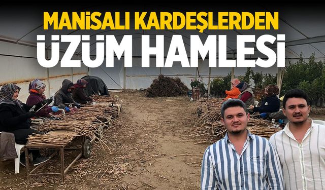 Manisalı kardeşlerden üzüm hamlesi!