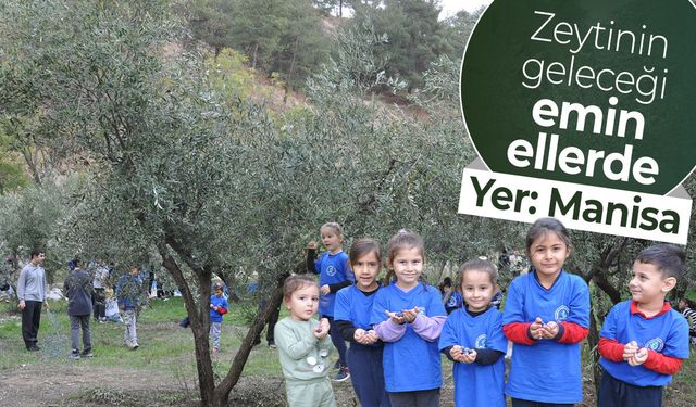 Zeytinin geleceği emin ellerde