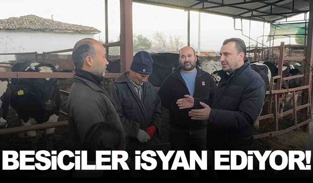 Besiciler Manisalı vekile dert yandı... 10 inek bir eve bakamaz duruma geldi!