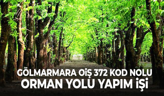 Gölmarmara'ya orman yolu yapılacak