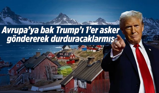 İngiltere ve Hollanda, Grönland'a birer asker gönderdi