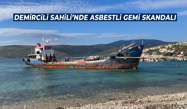 İzmir’de sit alanı statüsündeki sahilde asbestli gemi skandalı!