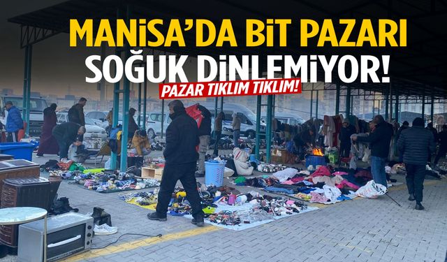 Manisa’da dondurucu soğuğa rağmen bit pazarına yoğun ilgi