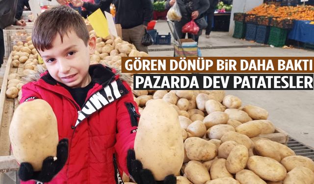 Manisa’da pazarda dev patatesler görenleri şaşırttı