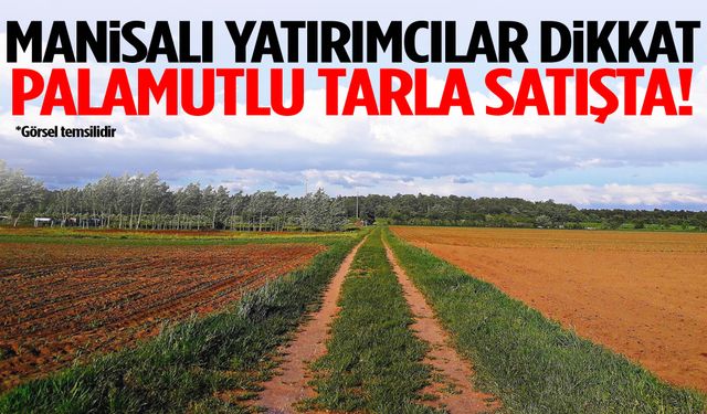 Manisa’da palamutlu tarla satışa çıkarıldı!