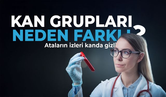 Neden dört farklı kan grubu var?