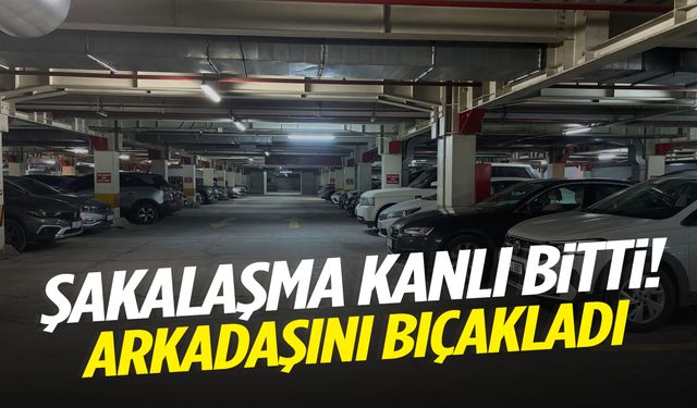 Şakalaşma kanlı bitti! Arkadaşını bıçaklayarak öldürdü