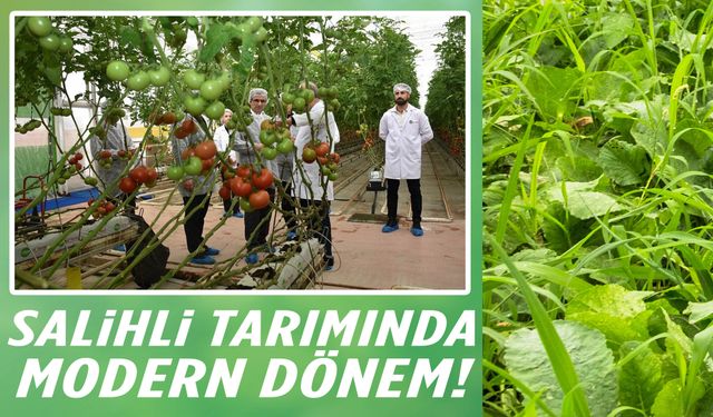 Salihli tarımında modern dönem!