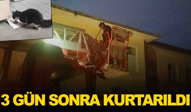 Manisa itfaiyesinden kedi operasyonu... 3 gün sonra kurtarıldı
