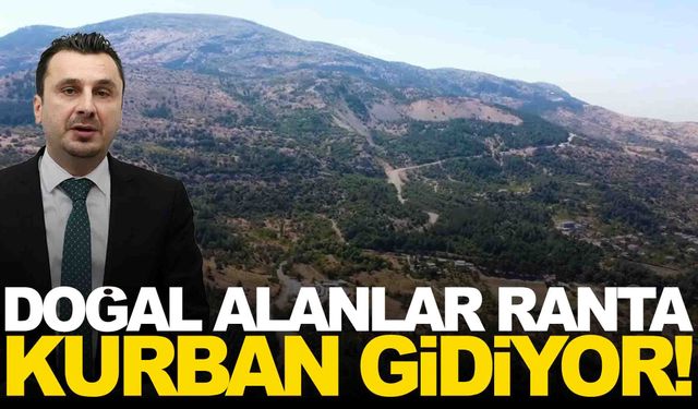 Manisalı vekilden iddia... Doğal alanlar ranta kurban gidiyor!