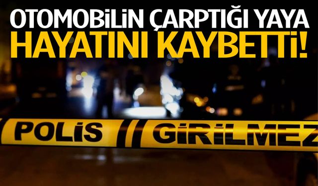 İzmir otomobilin çarptığı yaya hayatını kaybetti