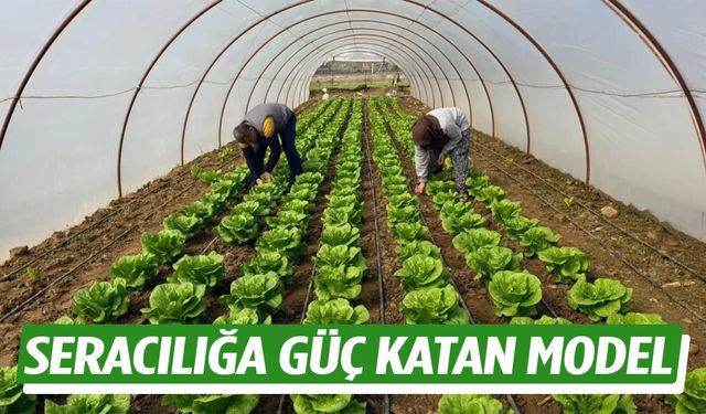 Seracılığa güç katan model