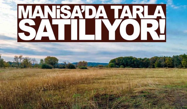 Manisa’da 24,6 dönüm tarla satılıyor... İhale tarihini kaçırmayın!