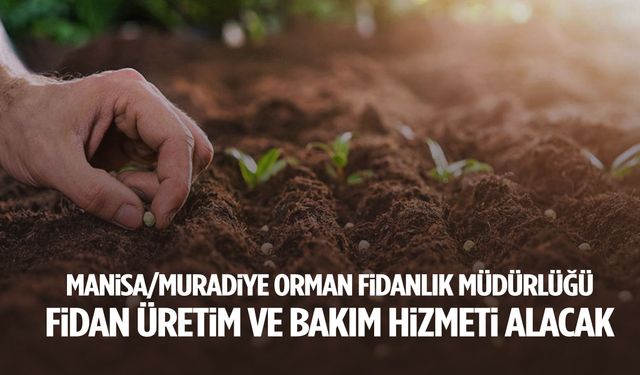 Manisa/Muradiye Orman Fidanlık Müdürlüğü fidan üretim ve bakım hizmeti alacak