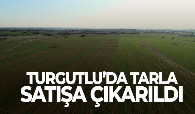 Turgutlu'da tarla satışa çıkarıldı