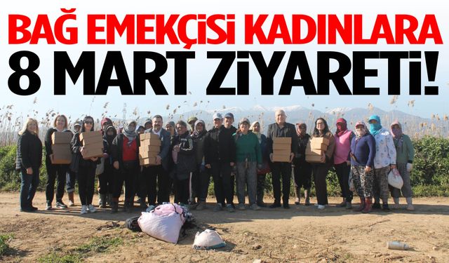 Bağ emekçisi kadınlara 8 Mart ziyareti