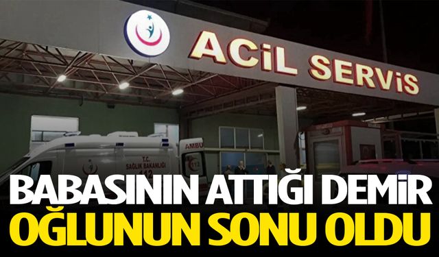 Babasının attığı demir başına isabet eden adam hayatını kaybetti