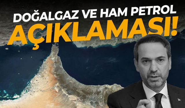 Doğalgaz ve ham petrol açıklaması!