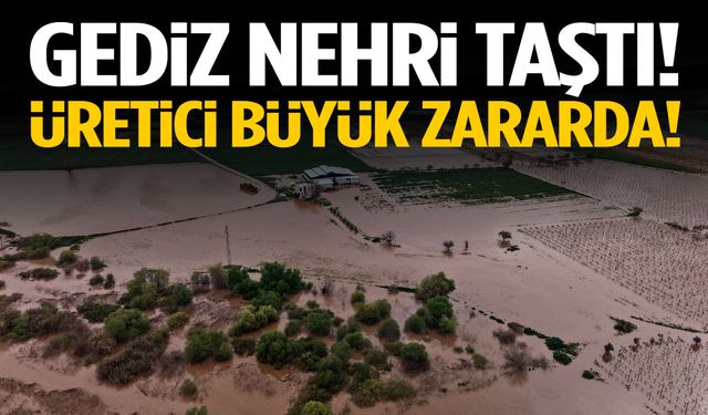 Gediz nehri taştı: Bağlar sele teslim oldu!