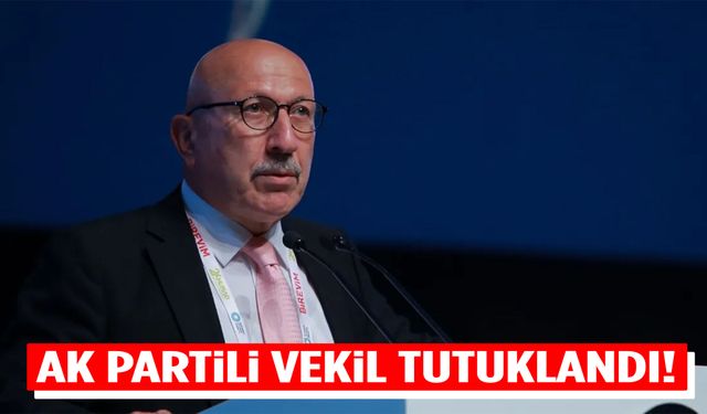 Eski AK Parti milletvekili Ali Bayramoğlu tutuklandı