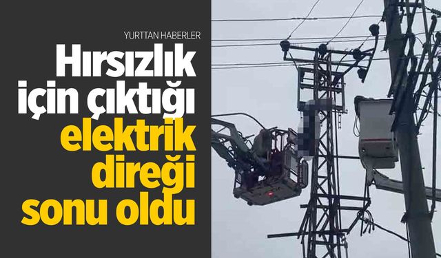 Hırsızlık için çıktığı elektrik direğinde çarpılarak öldü