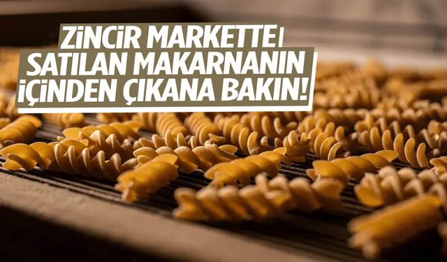 Zincir markette satılan makarnanın içinden çıkana bakın!