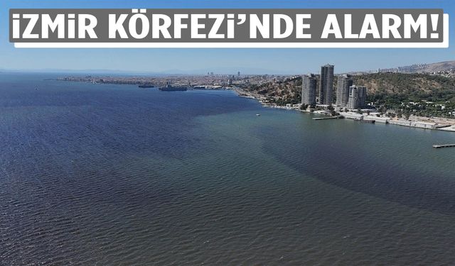 İzmir Körfezi’nde alarm!