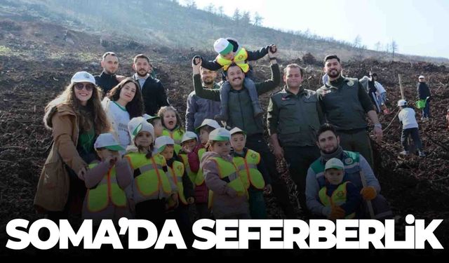 Soma’da yanan alanlar yeniden yeşeriyor…  4 bin fidan toprakla buluştu