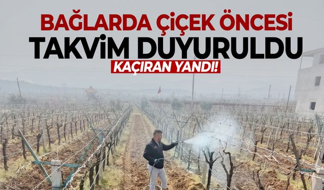 Manisa bağlarında kritik dönem: Çiçek öncesi ilaçlama takvimi açıklandı