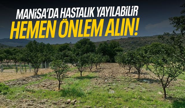 Manisa’da hastalık yayılabilir… Hemen önlem alın!