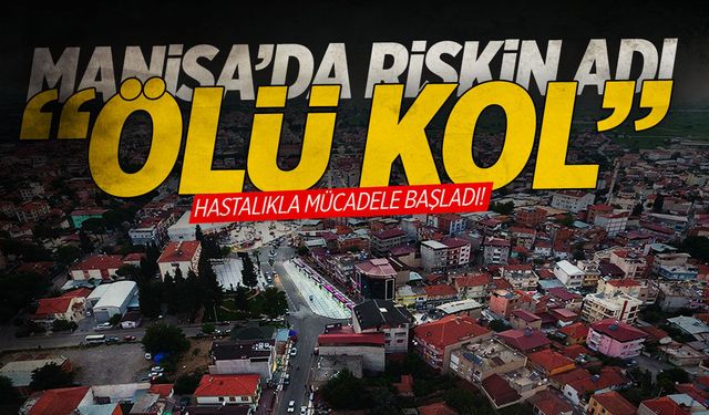 Manisa’da ‘ölü kol’ hastalığı… Mücadele başladı!