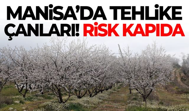 Manisa’da tehlike kapıda! Risk artıyor…