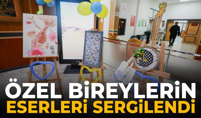 Özel bireylerin eserleri sergilendi