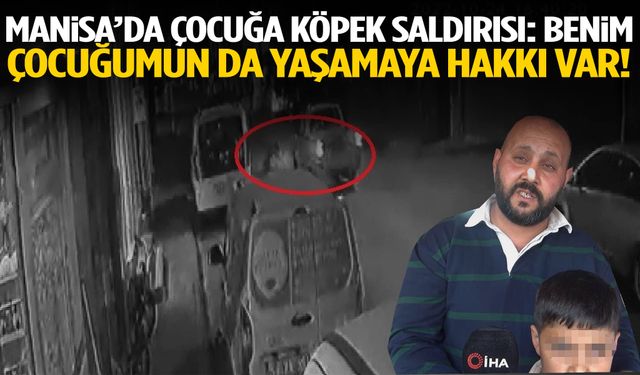Manisa’da baba tepkili… O hayvanın yaşamaya hakkı varsa benim çocuğumun da var!