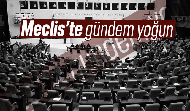 Meclis'te gündem yoğun olacak!