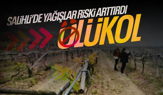 Salihli'de yağışlar Ölükol riskini artırdı