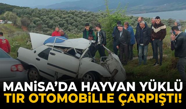Manisa’da canlı hayvan yüklü tır ile otomobil çarpıştı!