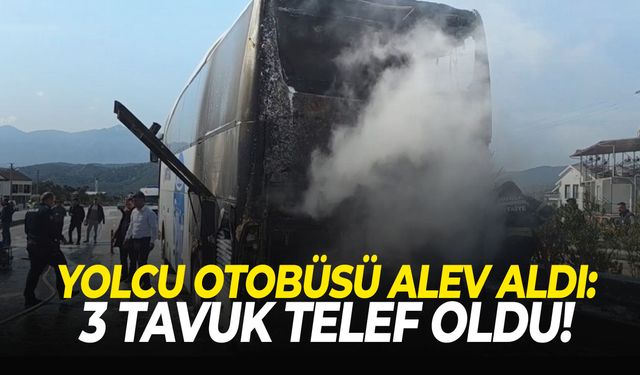 Yolcu otobüsü alev aldı: Bagajdaki 3 tavuk telef oldu!