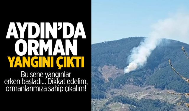 Aydın'da orman yangını çıktı!