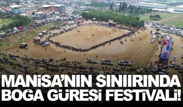 Boğa güreşi seven Manisalılar dikkat! Festival yanı başınızda... İşte tarihi ve yeri!