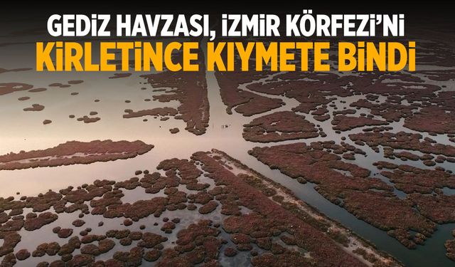 İzmir Körfezi için bir Gediz çağrısı daha