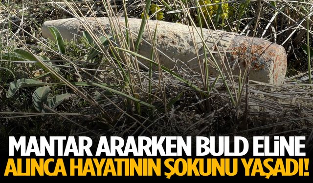 Mantar ararken bulduğu şey hayatının şokunu yaşattı!