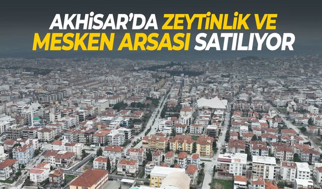 Akhisar’da zeytinlik ve mesken arsası satılıyor