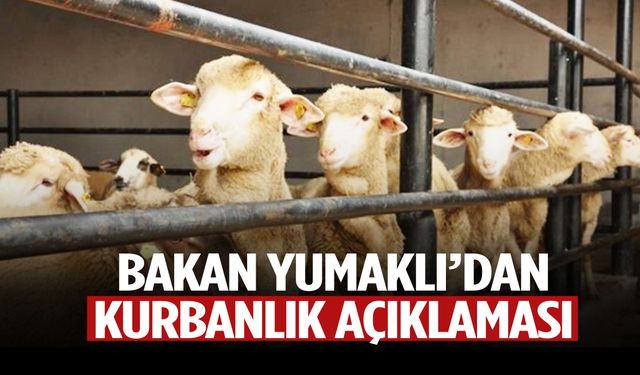 Bakan duyurdu: Satılamayan kurbanlıkları ESK alacak!