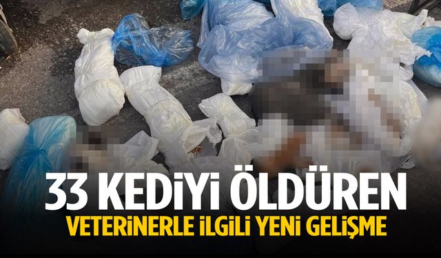 İzmir’de 33 kediyi öldüren veterinerle ilgili yeni gelişme