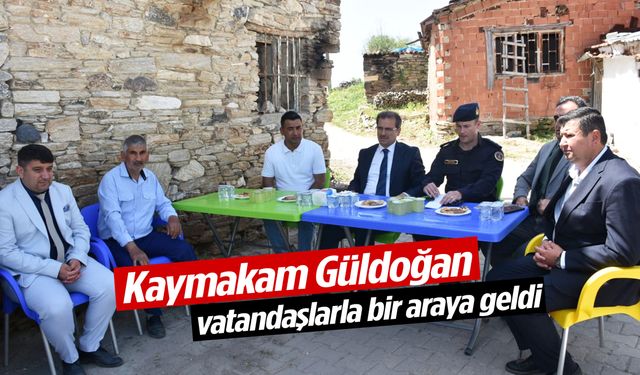 Kaymakam Güldoğan mahalle mahalle gezip talepleri dinledi