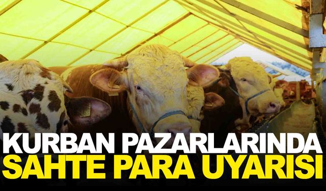 Kurban pazarlarında sahte para uyarısı: Nakit alışverişte dikkat!