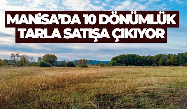 Manisa’da 10 dönümlük tarla satışa çıkıyor... 28 Mayıs’ta ihale var!