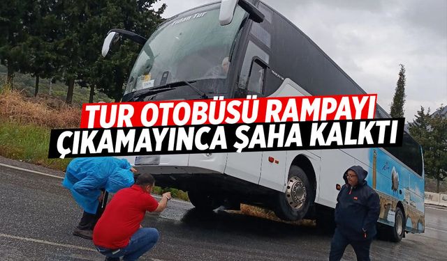Tur otobüsü şaha kalktı